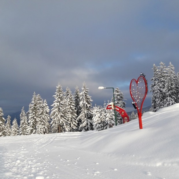 Start der 6 km langen Rodelbahn Bergstation Skischaukel Radstadt - Fotograf: Familie Hochwimmer